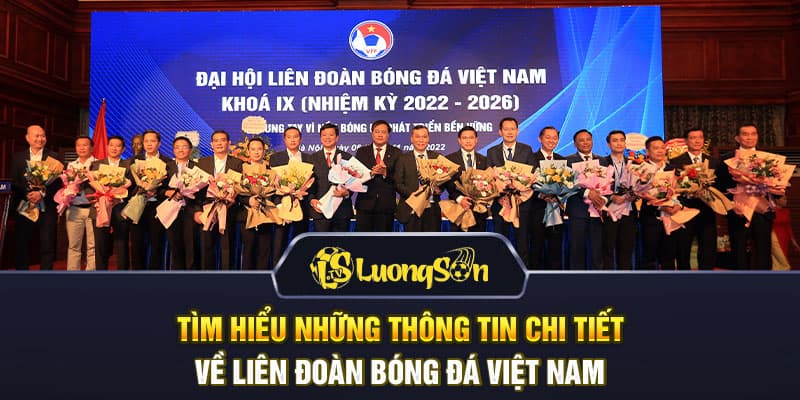 Tìm hiểu những thông tin chi tiết về Liên đoàn bóng đá Việt Nam