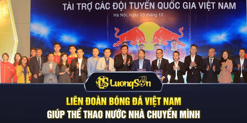 Liên đoàn bóng đá Việt Nam giúp thể thao nước nhà chuyển mình