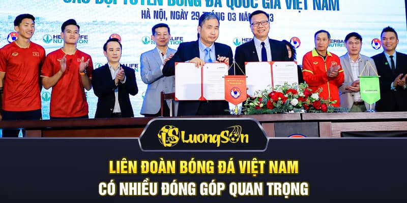 Liên đoàn bóng đá Việt Nam có nhiều đóng góp quan trọng